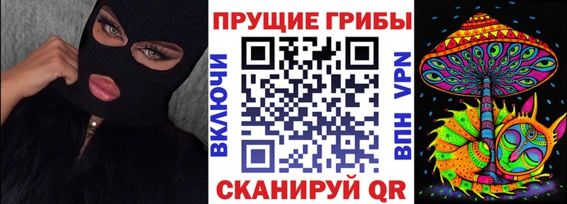 купить наркотик  Шимановск  Галлюциногенные грибы Cubensis 